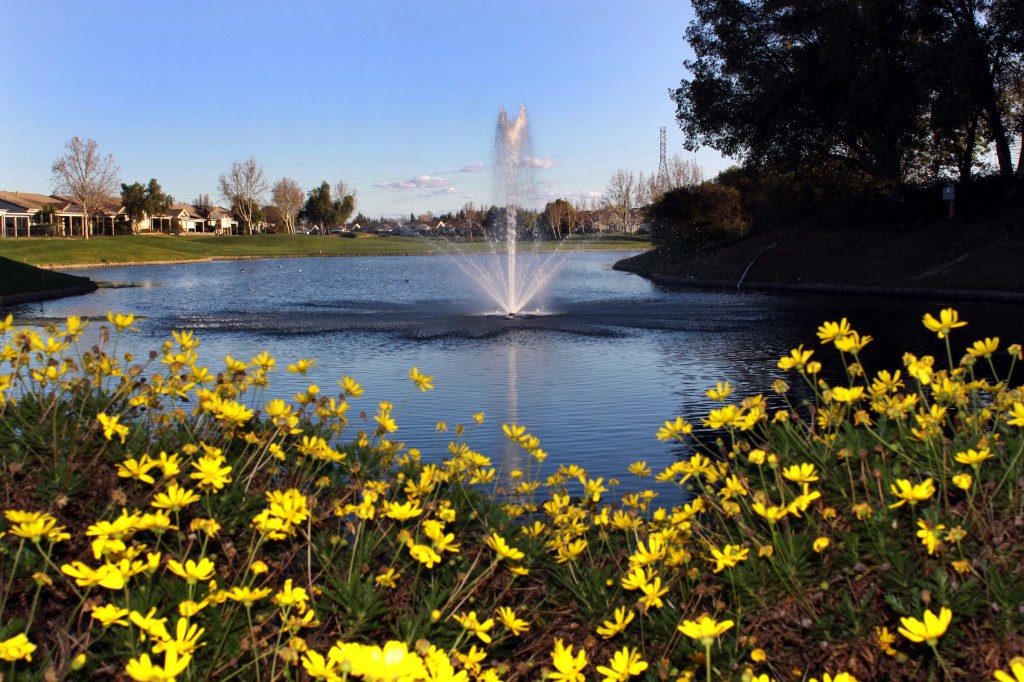 Scorecard Brentwood Golf Club CA Scorecard Brentwood Golf Club CA